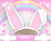 Kids Bunny Ears
