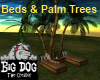 [BD] Beds & Palms Trees