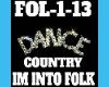 Dance&Song im into folk