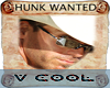 Hunk wanted - cowboy