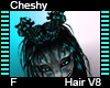 Chesy Hair F V8