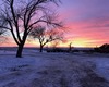 NRose's Pics Nature A20