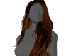 Chocolate Brown Mair