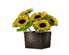 Stoneage Sunflowers Vase