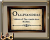 Ollivanders Sign 2