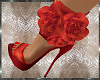 *TP Red Rose 