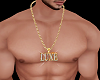 Luxe Gold long Chain