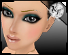 :KT: 03Model - 16 -