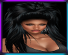 Bellatrix Coal