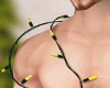 Christmas Lights Body