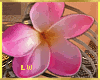 [LW]Lana Bracelet RT