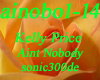 ainobo1-14 