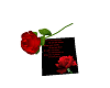 Valentine rose and poem