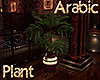 [M] Arabic Plant