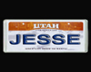 [bamz]Jesse Lic Plate