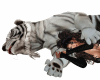 Sleep with white Tiger