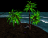 (sr) Palm trees hammock