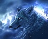 [Vasto]Spirit Wolfs