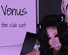 Venus the SINFUL clubcat