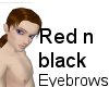 OCD b/r thin eyebrow