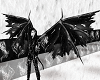 black demoniak wings