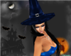 WB Witch Hat blue