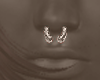 Septum xx