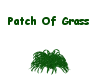 Patch-Of-Grass-furn