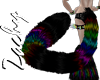 Z*~ Rainbow Tail B