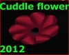 Cuddle flower 2012