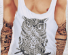 GW| Owl