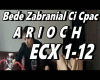 Bede Zabranial Ci Cpac