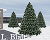 Add-On Pine Tree