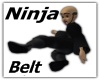 [S9] Ninja Master Belt