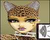 Cats Voicebox