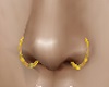 Nose Rings Gold