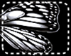 *Y* Butterfly Effect