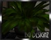 [BGD]Large Plant