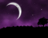 Purple Night Backdrop