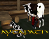 Cow Milking anim