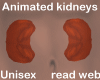 kidneys inside - M/F ANI