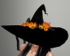 ~CR~Halloween Witch Hat
