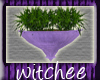 W Purple Plant Sconce