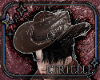 Outlaw Hat
