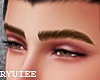 Perfect Brown Eyebrows