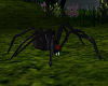Witch Hollow Spider anim