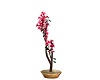 Bronze Bonsai Plant