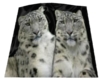 snowleopard blanket