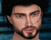 Realistic Head Prince