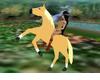 !S!Palomino Horse Ride